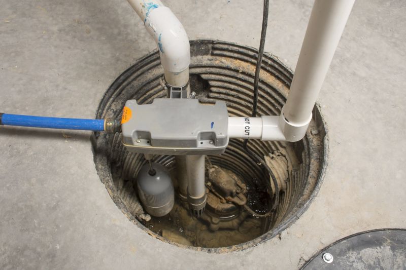 Sump Pump in Action